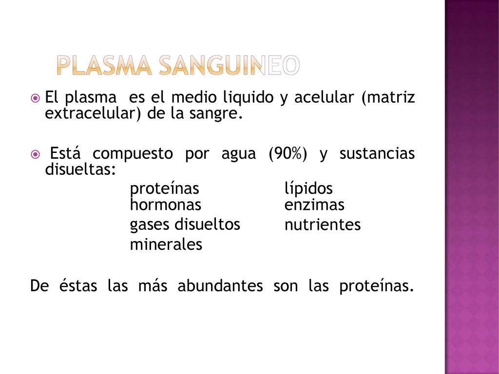 proteina plasmatica mas abundante de la sangre
